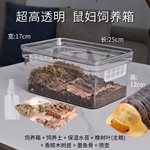 鼠妇饲养盒饲养箱西瓜虫饲养盒鼠妇缸鼠妇饲养套餐西瓜虫饲养