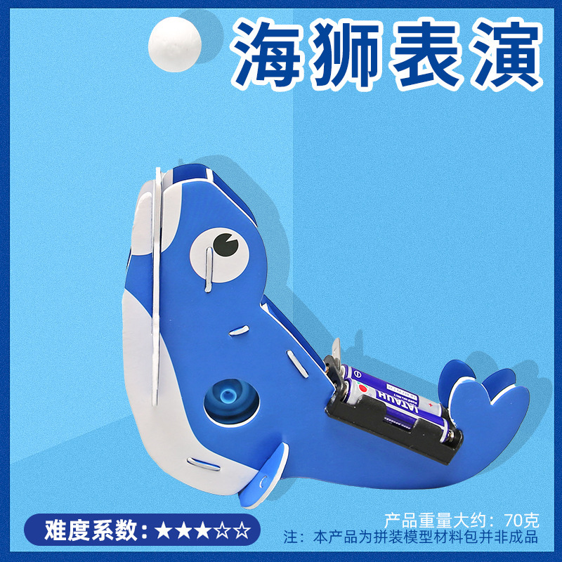 Experimento de ciencia para niños Tecnología pequeña producción hecha a mano DIY estudiantes de escuela primaria ciencia y educación frontera material paquete al por mayor