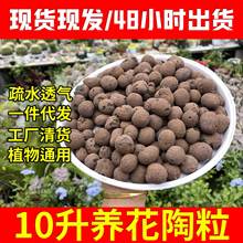 10升陶粒养花专用球园艺陶土颗粒批发水培陶粒花用垫底厂家直销