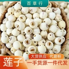 ɏ�� ��ɏ�� ʯɏ�� ɏ��о ȥо��ɏ�� �tɏ�� ɏ�Ӹɻ�  �����