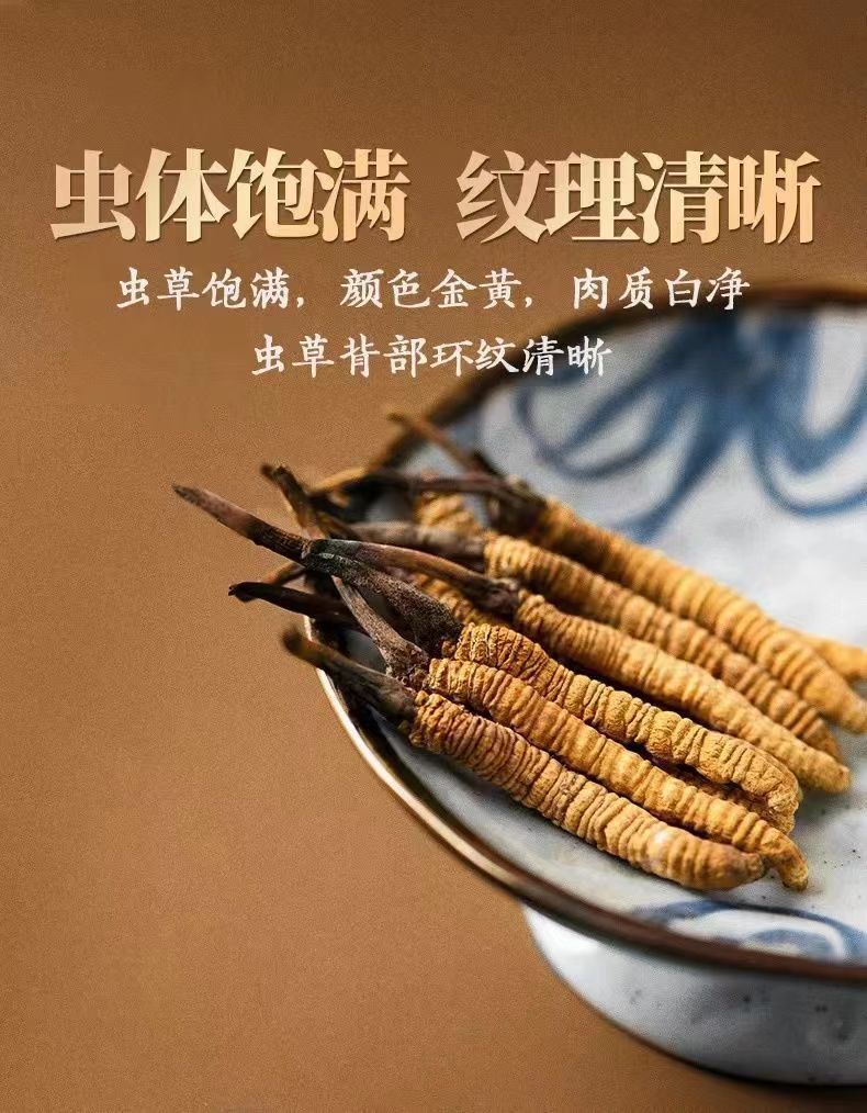 Cordyceps Sinensis Dong Chong Xia Cao Wild Caterpillar Fungus Dried Whole Pieces Nagqu Tibet Gift Box specifications