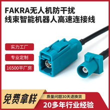 ������܇����FAKRA�o�˙C���ɔ_�������l���ܙC���˸����B�Ӿ���