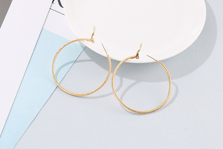 Fashion Geometric Titanium Steel 18K Gold Plated Earrings display picture 6