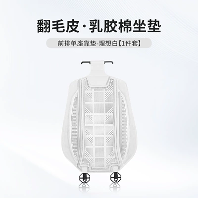Four Seasons Pad: and Lightweight Seat Cushion Covers for the - ideal-white-one-piece-of-latex-cotton-backrest-piece