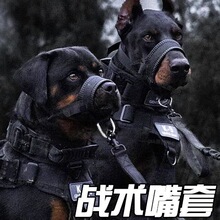 狗狗嘴套可喝水马犬德牧中大型犬防咬防乱吃口套拉布拉多杜宾嘴套