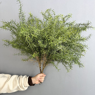 Simulated Green Plants Pine Thorn Fern Grass Plastic Grass Fake Flower Fern Indoor Plant Wall Decoration Background Wall Pine Needles