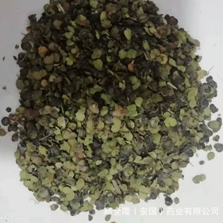 中草药 浮萍 GMP认证企业厂家直销带随货同行质检发票，量大优惠