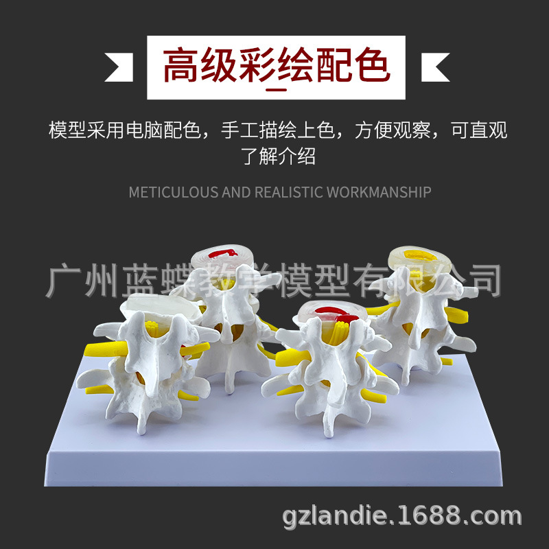 �Ľ׶β�����׵ģ�� ��������ģ�� ���ι��� ��̬������׵ģ��