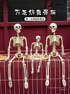 �f�}�������w���t�Ǽܔ[���ưɵ��߄�����׃��@�Ɍ����������b�