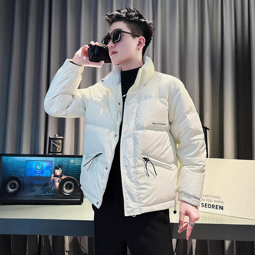 Winter streetwear down jacket for men, casual cool stand-up collar, thick short-sleeve top, 2024 new men's cotton-padded coat.