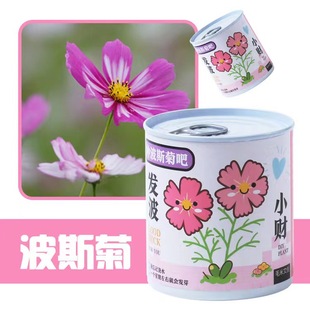 �Nֲ�����������޻���ħ���P�ɻ������� ���b���� �k������������