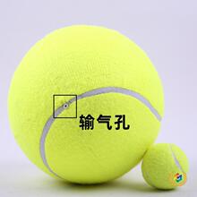 ��S�����l8Ӣ����W���̖�����W��ͯ�q�������W��