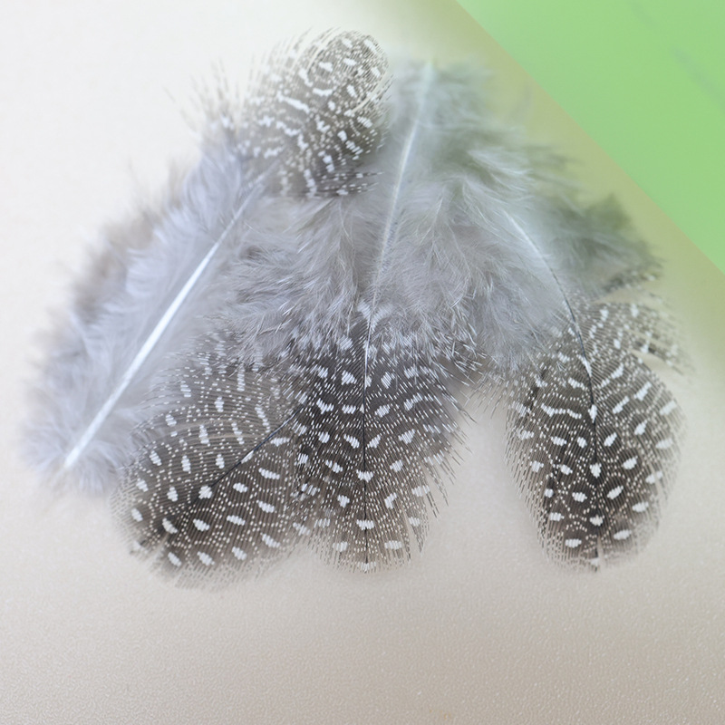 Fábrica al por mayor de bricolaje plumas pequeñas plumas naturales plumas de pollo salvaje plumas de pato jardín de infantes joyas hechas a mano gato divertido material de captura de sueños