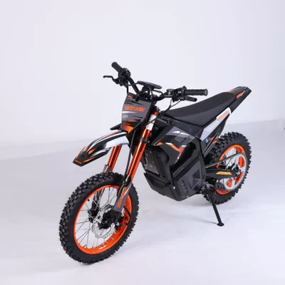 Cross-Border Hot-Selling 48V Electric: Elektrikli motosikletlər