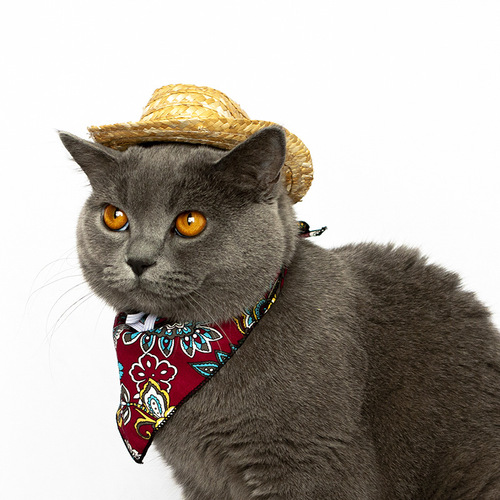 宠物牛仔帽子cosplay亚马逊宠物饰品宠物猫咪西部牛仔帽草帽