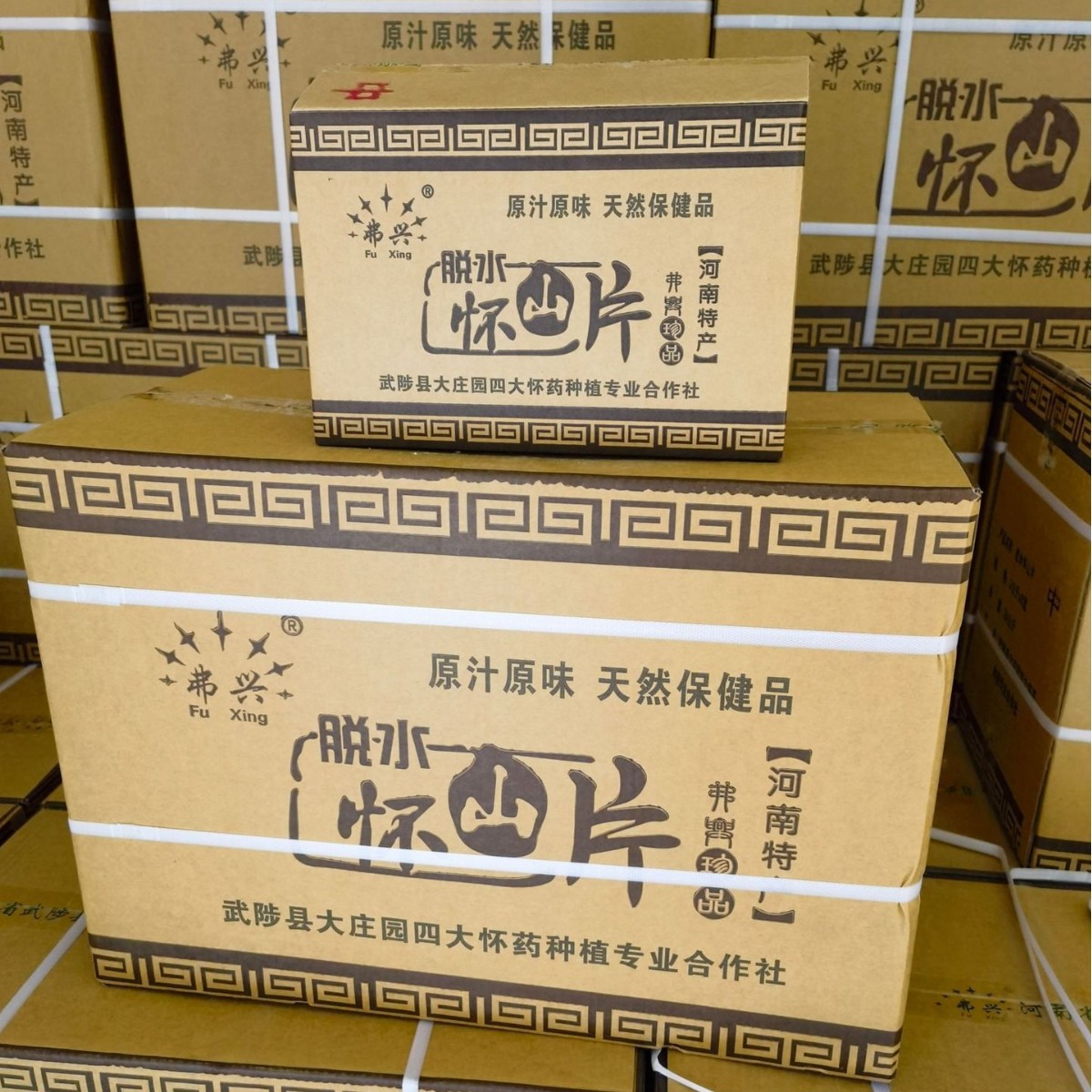 2024-11-06 10:22:24.jpg