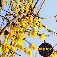 ���l�D÷�N�� �t÷�������S÷����÷ �ļ� ���Ľ�÷ ���D÷���ķN