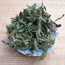 中药材 野生紫花地丁 正品苦地丁草茶 新鲜干货 500g克包邮地丁草