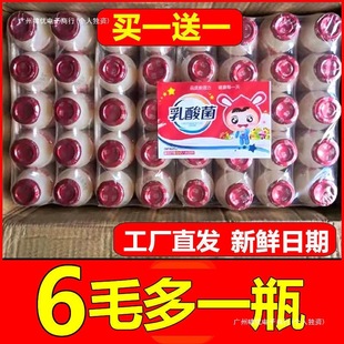 Lactic Acid Bacteria Yogurt Whole Box Probiotic Flavored Drink Kidsren's Probiotic Yogurt Wholesale Mini Bottle Drink