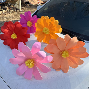 EVA��ĭ�r�ջ�Y�����b��Ĕz�����̈���ꐲ��È������ͷ��滨