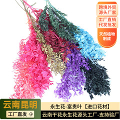 干花富贵叶云南基地直发多色可选百搭花束干花富贵叶真花花材50克