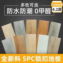 spc石塑锁扣木地板家用pvc卡扣式翻新复合塑胶石晶地板贴