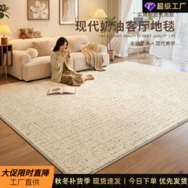 家用地毯;地垫;飘窗垫