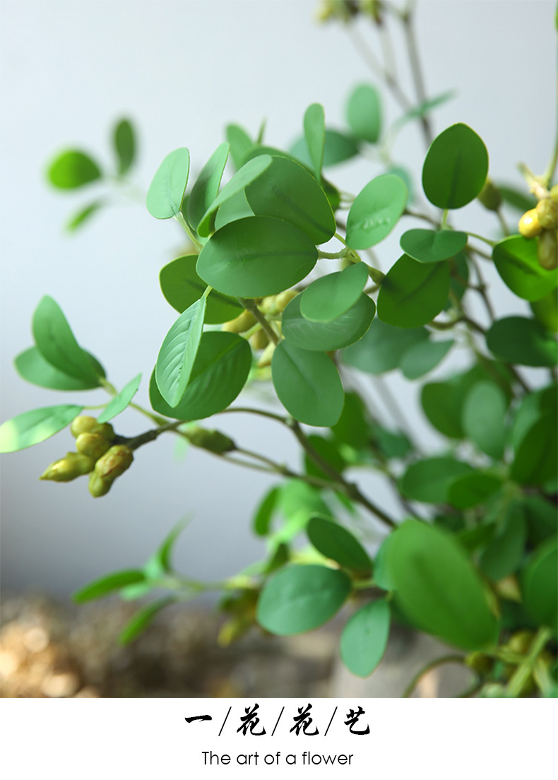 1橄榄叶_14.jpg