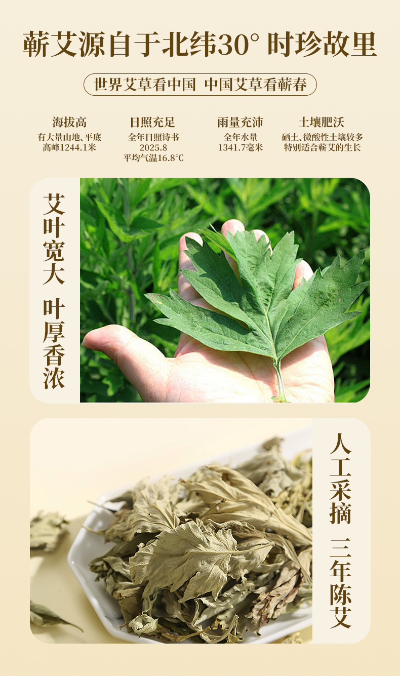 7cm Thickened Moxa Roll Thunder Fire Moxibustion Stick Aged Mugwort Wool for TCM Moxa Sessions 20cm Length in use