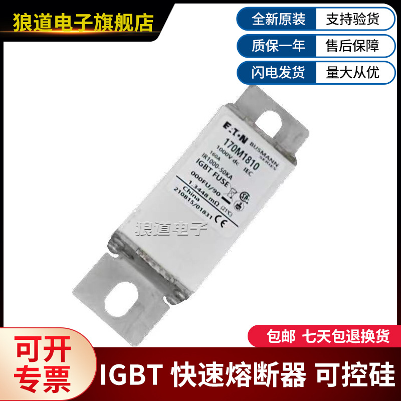 巴斯曼170M1808 1809 1810 1811 1812 1813 1814 1815 1816熔断器