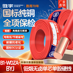 ����B1-WDZA-BYJ�͟��o�u늾�1.5 2.5 4 6ƽ����ȼ�ͻ��~оӲ��