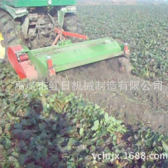 土豆杀秧机  农用马铃薯打秧机  红日出口杀秧机  土豆收获机