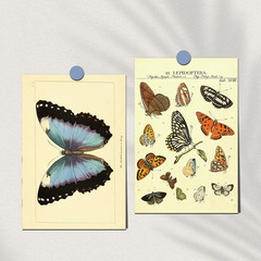 Retro butterfly decorative painting 10 pieces, fresh and clean decorative cards, wall postcards, dormitory living room bedroom decorative painting