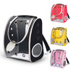 Handheld bag to go out PVC, breathable capacious backpack