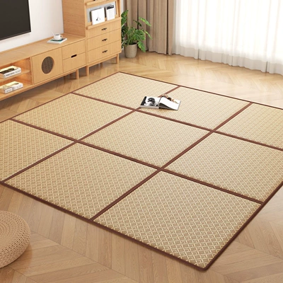 Living Room Coffee Table, Car Carpet - t3-tengfeng-qingxia-smooth-and-burr-free-easy-to-store-two-compartments-60x120cm-no-gifts