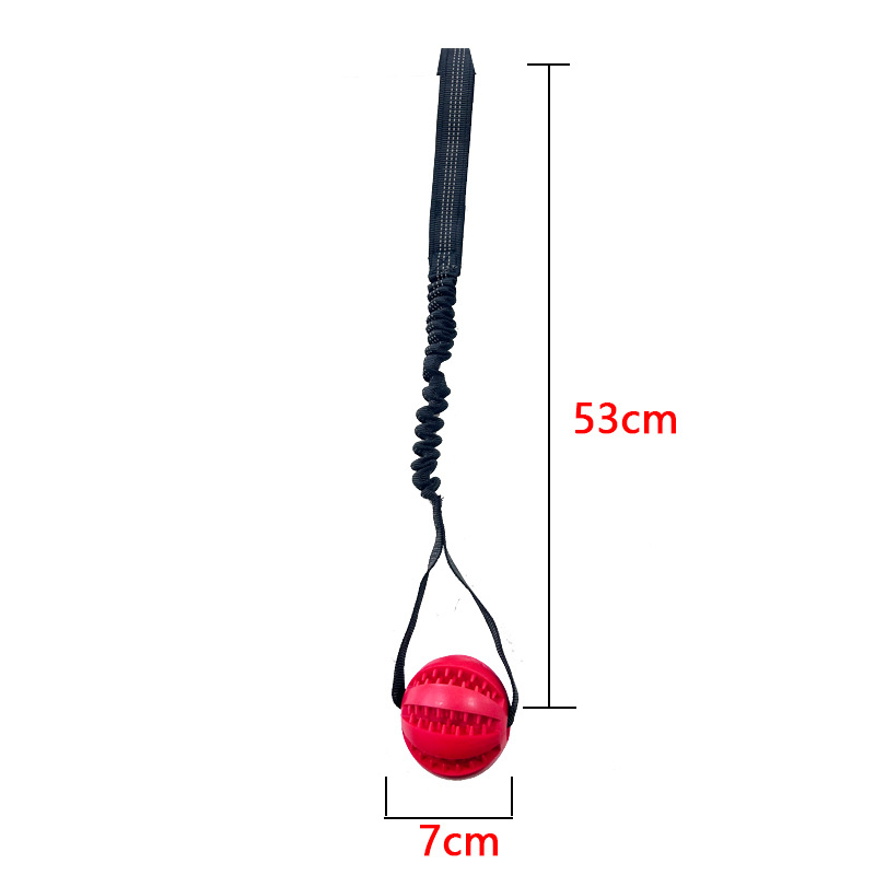 Perro fugas de comida bola puzzle mordida resistente dientes dorados corky para aliviar el aburrimiento juguetes de bolas elásticas al aire libre lanzamiento de entrenamiento image 9