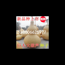 ���˳�����J�N�� ���ͺ��J ���J�N�� �����N��