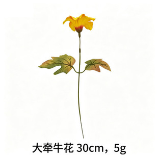 �����ţ����֧ 30cm ��ɫ�����٠�ţ�� �Ҿӻ�c�廨�b�����