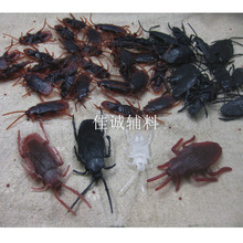 �羳������Ϸ������� ������Сǿ���� ��ʥ���������