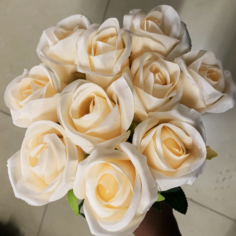 c0d61209e0f835eb1286cd8cbe8569