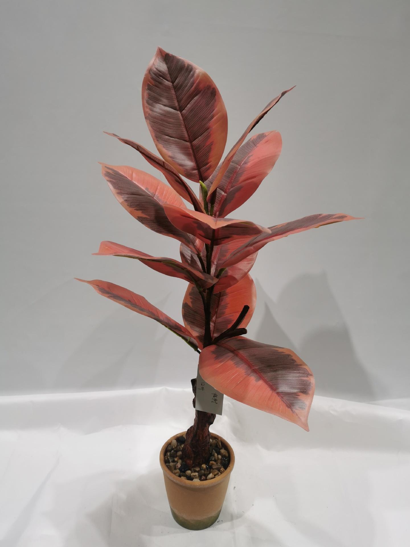 La fábrica se especializa en el suministro de productos de jardinería de plantas verdes