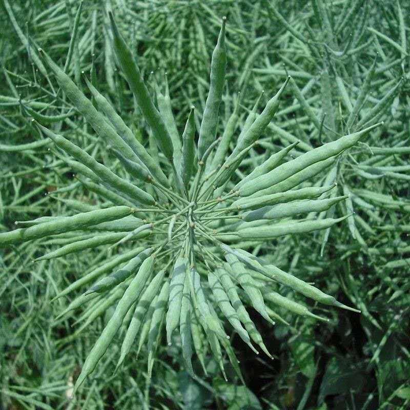 微信图片_20201009211806