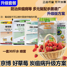 ��ݮ̿�Ҳ����۲��������׷۲��������ϴ��M��ѿ�ֻ����[�����ز�