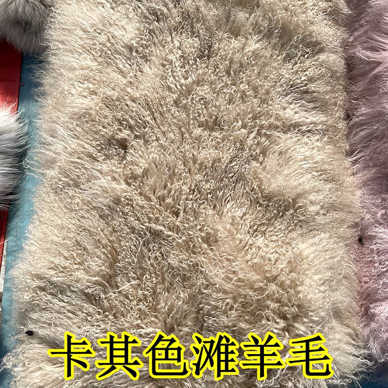 IMG_2698_副本_副本.jpg