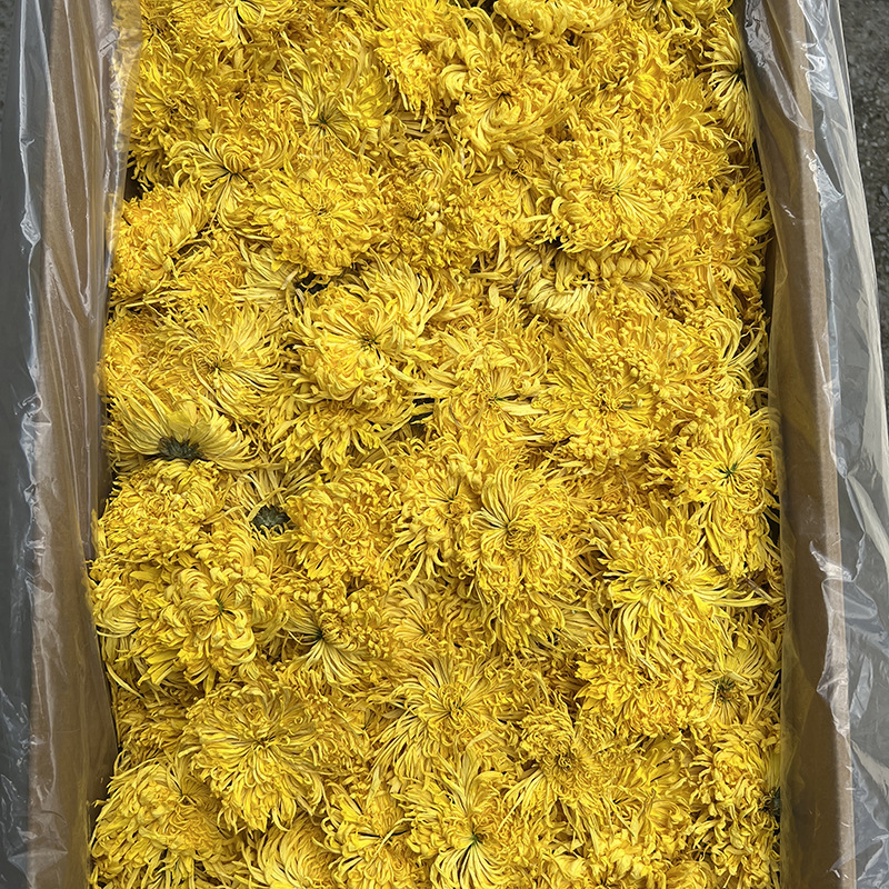 徽五弟菊花茶黄山菊花干花茶金丝皇菊胎菊徽州皇菊多品产地直发|undefined