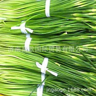 �S���L���ṩ�ك���޷��/�� Garlic bolt segment �gӭ�xُ