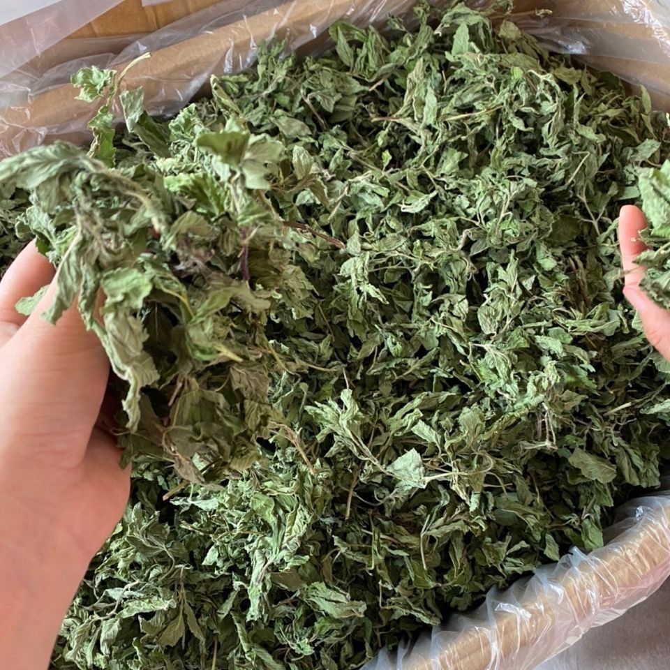 Dried Mint Leaves 500g Bo He Ye Mentha haplocalyx Herbal Tea Leaves for Infusions and Culinary Use key features