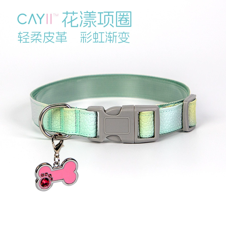 Трансграничное прямое цветное кожаное ошейник для собак малого и среднего размера питомец Тедди Шибер Радуга Градиент для собак