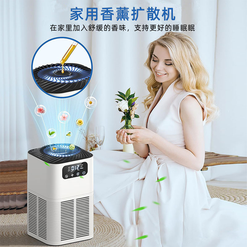 Desktop Air Purifier Aromatherapy Negative Ion Odor Removal Aldehyde Pm2.5 Display Automatic Adjustment Cross-Border Model