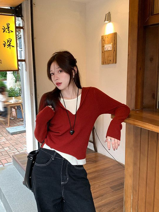 连帽打底衫女秋冬内搭可外穿2025新款上衣假两件针织衫设计感毛衣|undefined